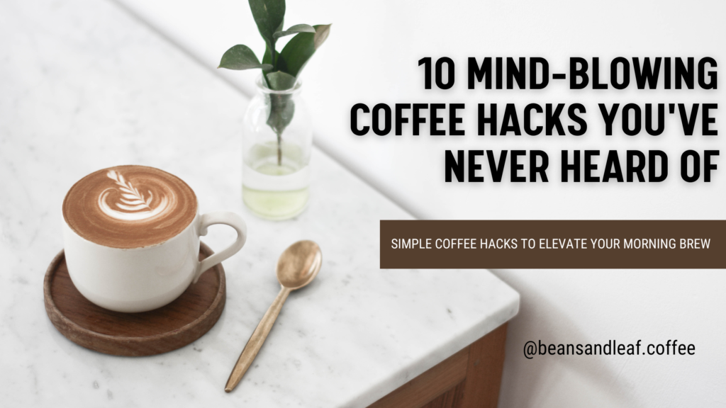 Best Coffee Beans